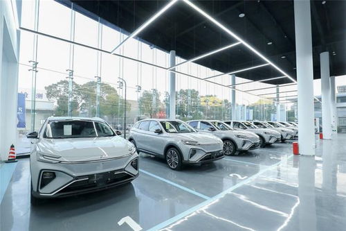 飛凡汽車的非凡服務(wù) 開啟高品質(zhì)個性化汽車服務(wù)新體驗